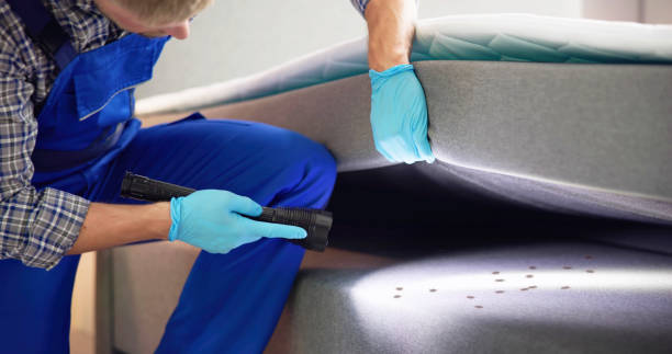 Best Local Pest Control Services  in St Francis, WI