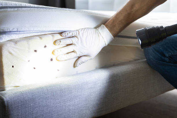 Best Affordable Pest Control Services  in St Francis, WI