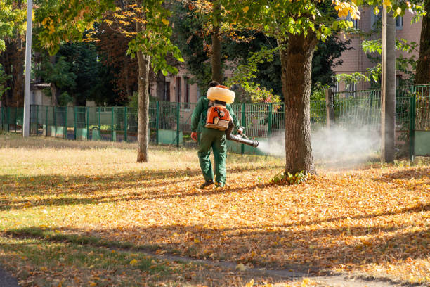 Best Commercial Pest Control Services  in St Francis, WI