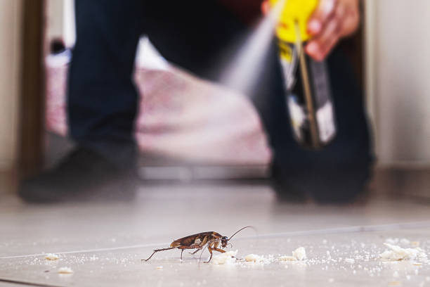 Best Local Pest Control Services  in St Francis, WI